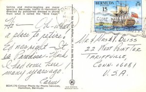 Directing Traffic in Birdcage Bermuda Postcard