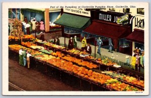 K49/ Circleville Ohio Postcard c1940s Pumpkin Show Displays 410