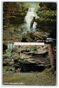 1910 Bruin at the Bath In Palisade Park Iowa Falls IA Multiview RPO Postcard