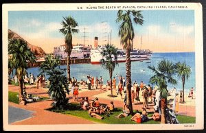 Vintage Postcard 1936 Along the Beach, Avalon, Catalina Island, California (CA)