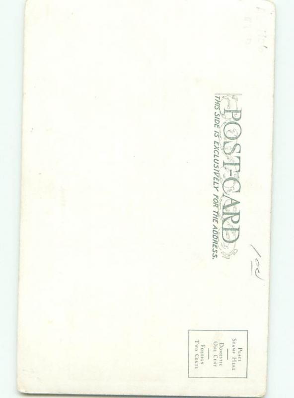 Divided-Back ANIMAL SCENE Great Postcard AA9574