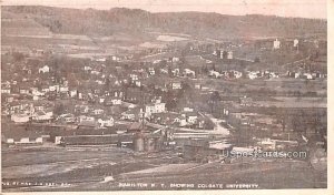 Birds Eye View - Hamilton, New York NY Postcard