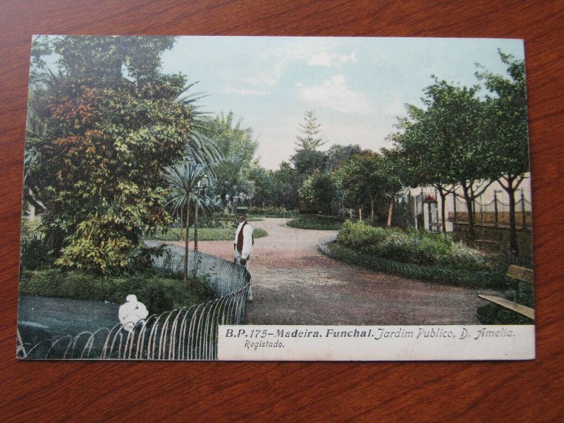 Funchal Madeira Postcard 1907-15 Unused Garden Scene Amelia