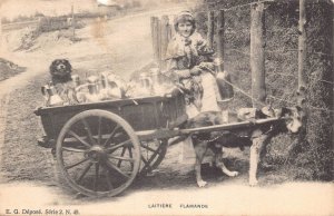 Belgium Laitieres Flamandes Flemish Milk Maid Girl Seller Dog postcard B915