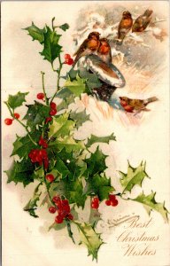 Postcard Christmas birds on tophat with snow and holly