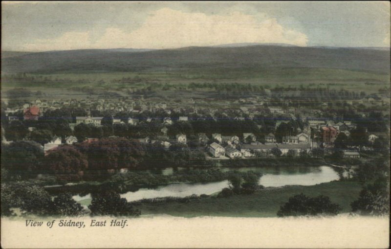 Sidney NY East Half General View c1905 Postcard