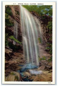 c1930's View Of Stecoa Falls Waterfall Clayton Georgia GA Vintage Postcard