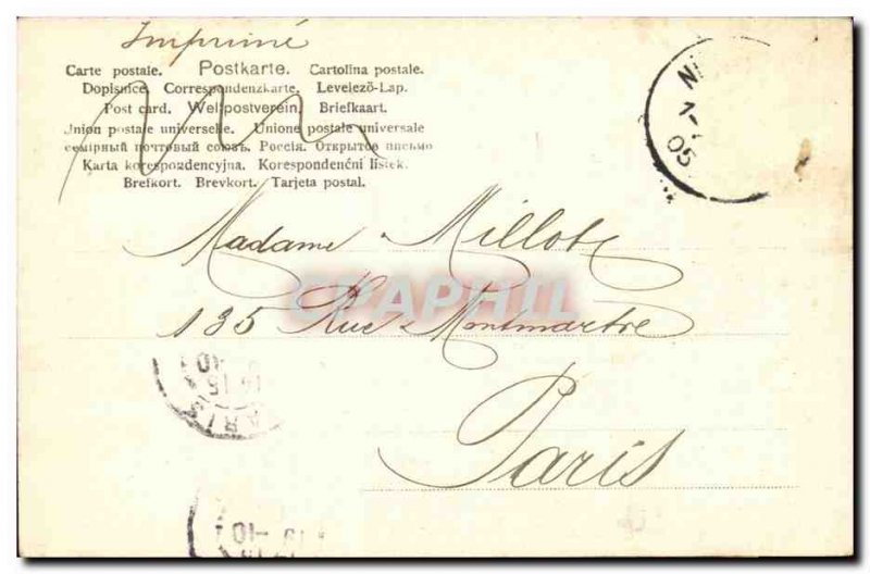 Germany Postcard Old Nurnberg Gansemannchen