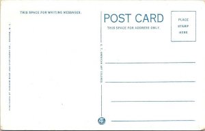 Durham, NC North Carolina  WASHINGTON DUKE HOTEL  ca1920's Advertising Postcard