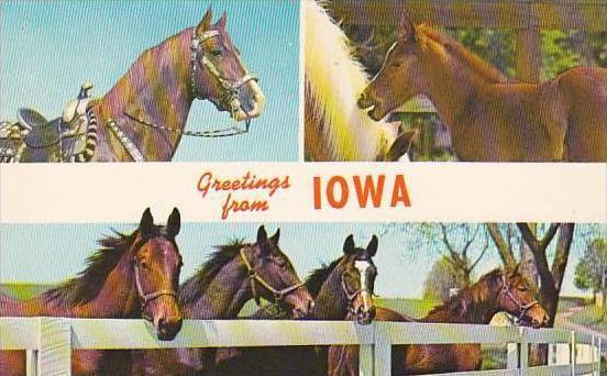 Iowa Greetings From Iowa