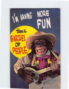 Postcard Monkey Humor I'm Having More Fun than a Barrel of People