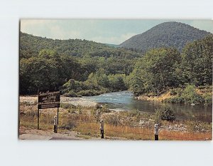 Postcard American Indian Campground And Spring, Charlemont, Massachusetts