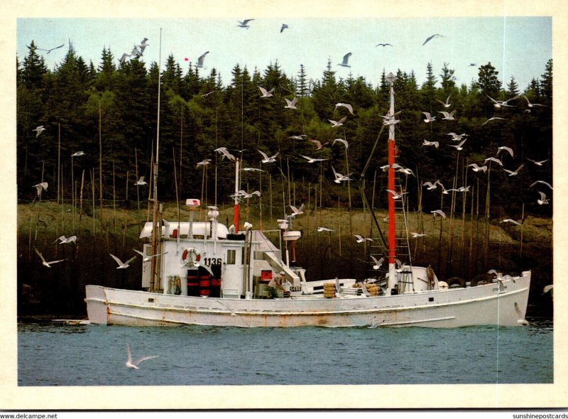 Herring Fishing On The Maine Coast
