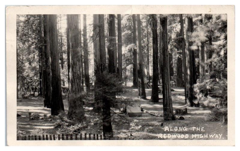 1924 RPPC Camping along the Redwood Highway Real Photo Postcard