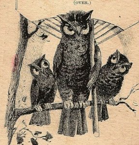 Stevens The Yankee Clothier Hatter Goods 3 Owls Victorian Trade Card New York