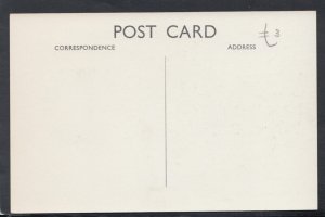 Middlesex Postcard - Powys Lane, Enfield    RS14679