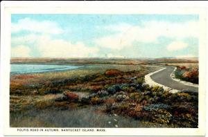 NANTUCKET MA - Polpis Road in Autumn