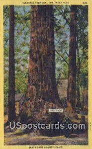 General Fremont Big Trees Park - Santa Cruz County, California CA  
