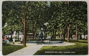 Jackson Michigan GREENWOOD AVE PARK 1909 To Logansport Indiana Postcard A14