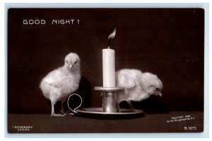 1909 Good Night Chicks And Candle Rotograph RPPC Photo Posted Antique Postcard