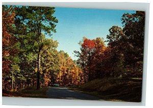 Trace Natchez Parkway Postcard Ms Mississippi Autumm Scene Chrome Un Posted 