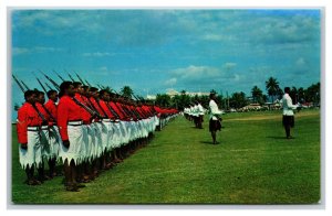 Ceremonial Military Redcoats Fiji South Pacific UNP Chrome Postcard S14