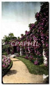 Old Postcard Roseraire De L & # 39hay Roses Les Arcades