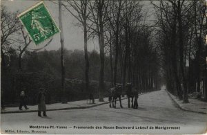 CPA Montereau Promenade des Noues-Boulevard FRANCE (1100794)