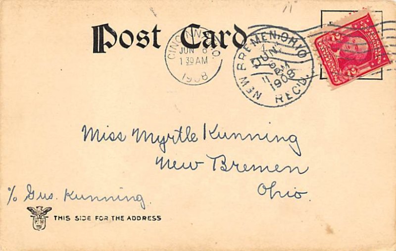 Insect Comic Insect Comic