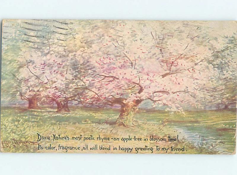 1921 signed BEAUTIFUL PINK FLOWERING TREES HL6338