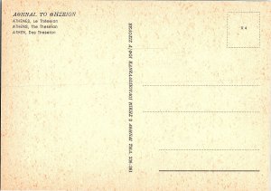 The Theseion Athens Greece Temple 1960s Continental Photochrome Postcard