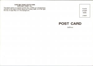 Cape May Point State Park Beach Scene, Cape May Point NJ Postcard Y63