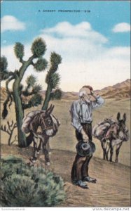 A Desert Prospector With Donkeys 1944