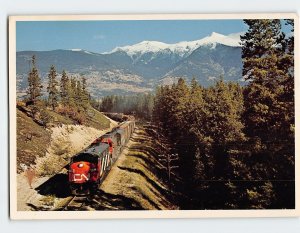 Postcard Cedar Crossing, Canada