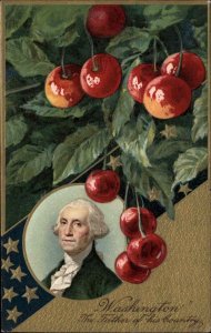 George Washington Patriotic Cherries Stars Gilt Embossed Winsch 1900s-20s PC