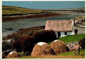 Ireland Connemara Farm Scene