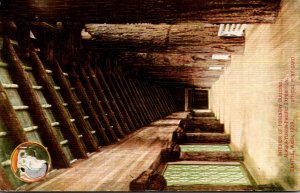 Washington Seattle Forestry Building Interior Alaska-Yukon-Pacific Expo 1909