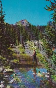 Utah Fishing In The Uintah Mountains 1967