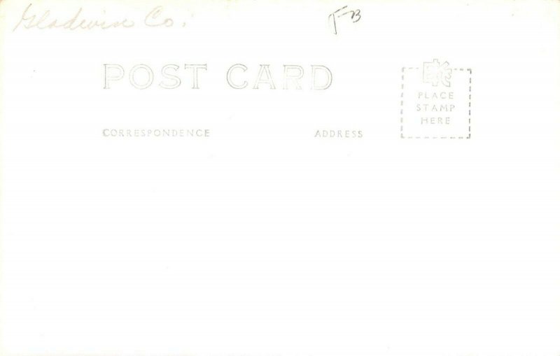 LPS01 Gladwin Michigan Court House Postcard RPPC