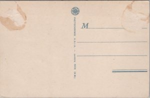 Algeria Chameaux et Chameliers Vintage Postcard C185