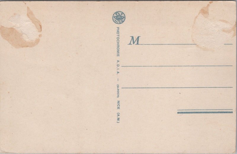 Algeria Chameaux et Chameliers Vintage Postcard C185