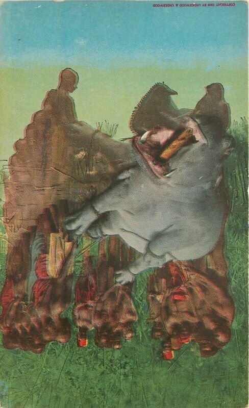 Africa C-1910 Dead Hippo Native Hunters artist impression Postcard 20-6838