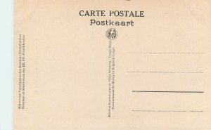 Belgian Congo postcard an indigenous bridge wild landscape