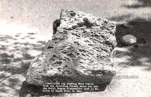 Petrified Log showing Worm Trails - Rapid City, South Dakota