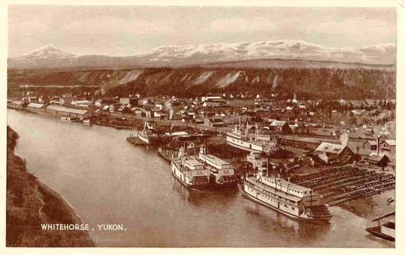 Paddle Steamers on River White Horse Yukon Canada postcard