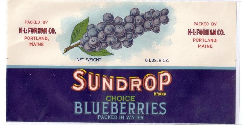 Sundrop Blueberries Portland ME Vintage Fruit Label Forhan