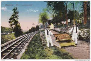 MADEIRA, Portugal, 1900-1910's; Char Montagnard