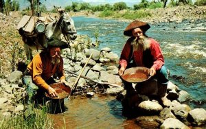 1969 Two Men Cowboy Hats Panning Gold River Stream Donkey Vintage  Postcard