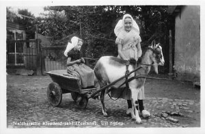 Walchersche Kleederdracht Horse Drawn Zeeland, Goat Drawn Wagon Unused real p...