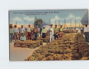 Postcard Scene at the Sponge Exchange Largest in the World Tarpon Springs FL USA